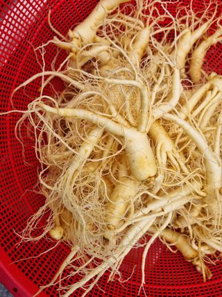 모두팜님의 자유주제 · 자유게시판 작성글 사진