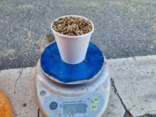 모두팜님의 자유주제 · 자유게시판 작성글 사진