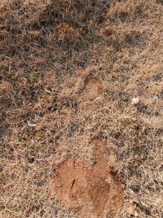 인생은 소풍처럼~님의 자유주제 · 자유게시판 작성글 사진