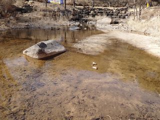 이현상님의 자유주제 · 자유게시판 작성글 사진