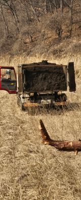 강정아님의 자유주제·자유게시판 작성글 사진