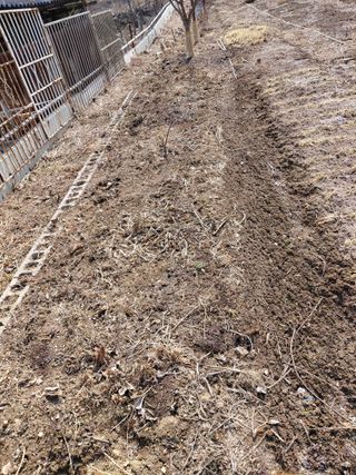 이박농장님의 자유주제 · 자유게시판 작성글 사진