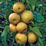 팜모닝 · 게시글 이미지