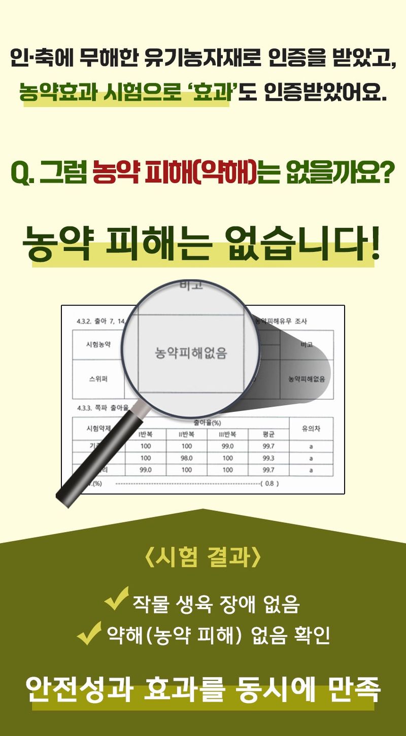 자재스토어님의 장터 판매 상품 [강원도 정품 씨감자 수미 두백 대서 감자 종자 감자씨 씨앗] 첨부 사진