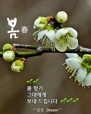 최재만님의 자유주제 · 자유게시판 작성글 사진