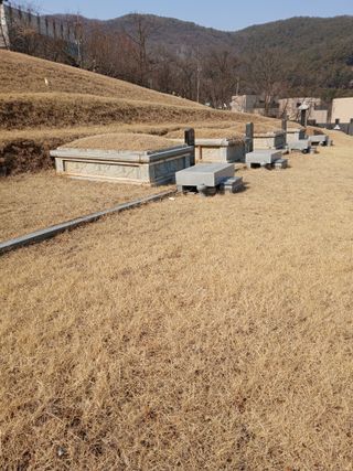 인생은 소풍처럼~님의 자유주제 · 자유게시판 작성글 사진