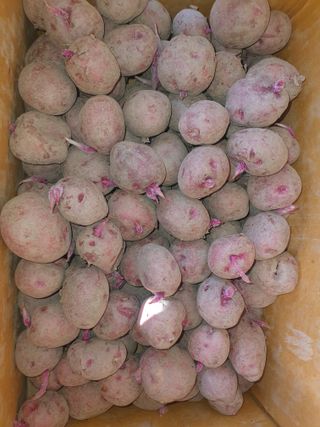 옥천서화농님의 자유주제 · 자유게시판 작성글 사진