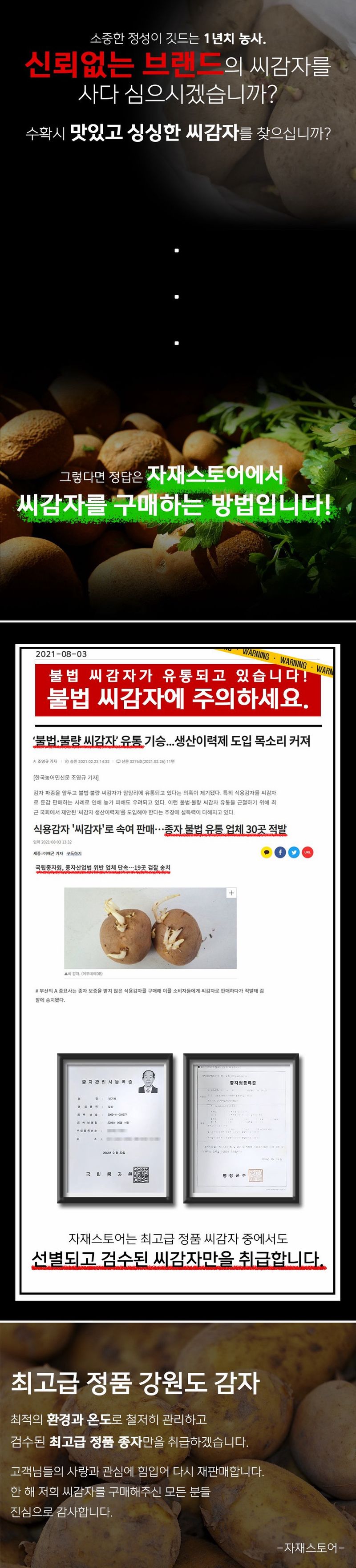 자재스토어님의 장터 판매 상품 [강원도 정품 씨감자 수미 두백 대서 감자 종자 감자씨 씨앗] 첨부 사진