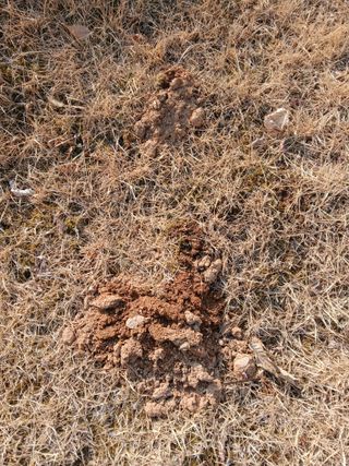 인생은 소풍처럼~님의 자유주제 · 자유게시판 작성글 사진