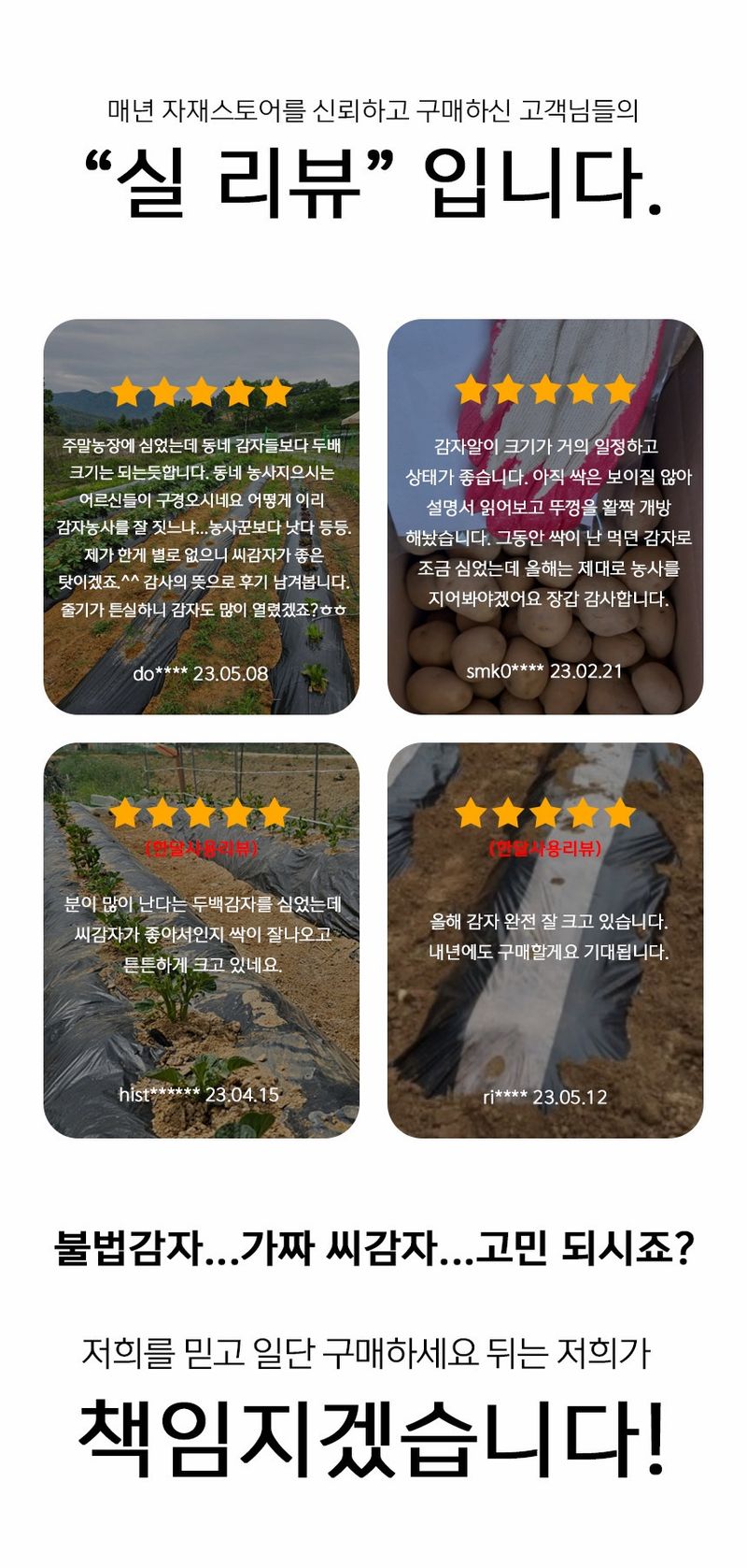 자재스토어님의 장터 판매 상품 [강원도 정품 씨감자 수미 두백 대서 감자 종자 감자씨 씨앗] 첨부 사진