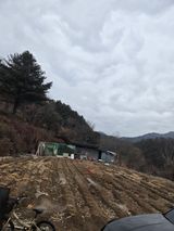 팜모닝 자유주제·자유게시판 게시글 이미지