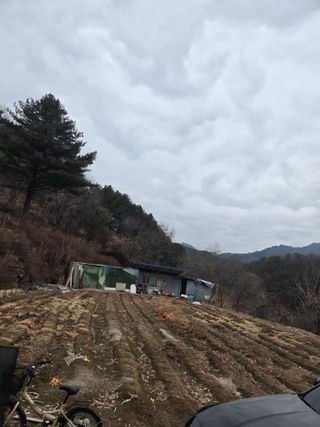 강원사랑인님의 자유주제 · 자유게시판 작성글 사진