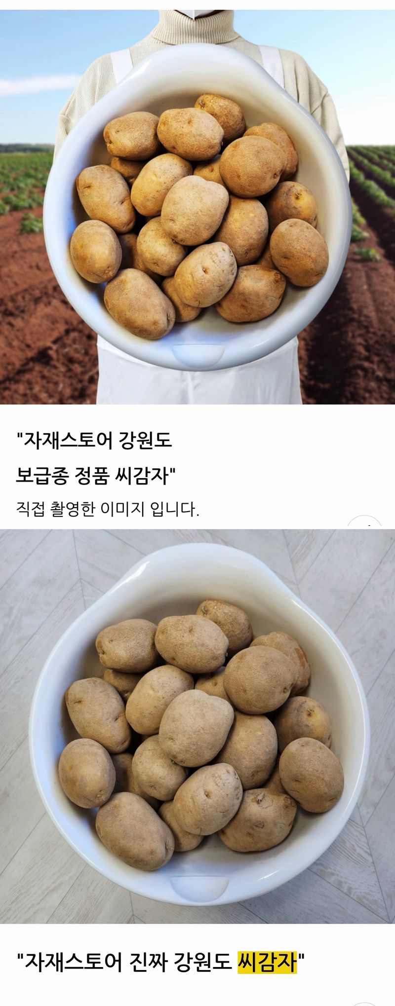 자재스토어님의 장터 판매 상품 [강원도 정품 씨감자 수미 두백 대서 감자 종자 감자씨 씨앗] 첨부 사진