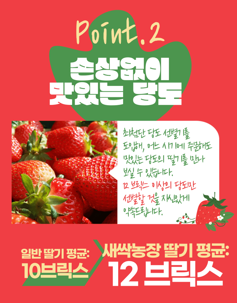 과일팩토리님의 장터 판매 상품 [과일팩토리 국산 프리미엄 설향 딸기 산지직송 350G/700G] 첨부 사진