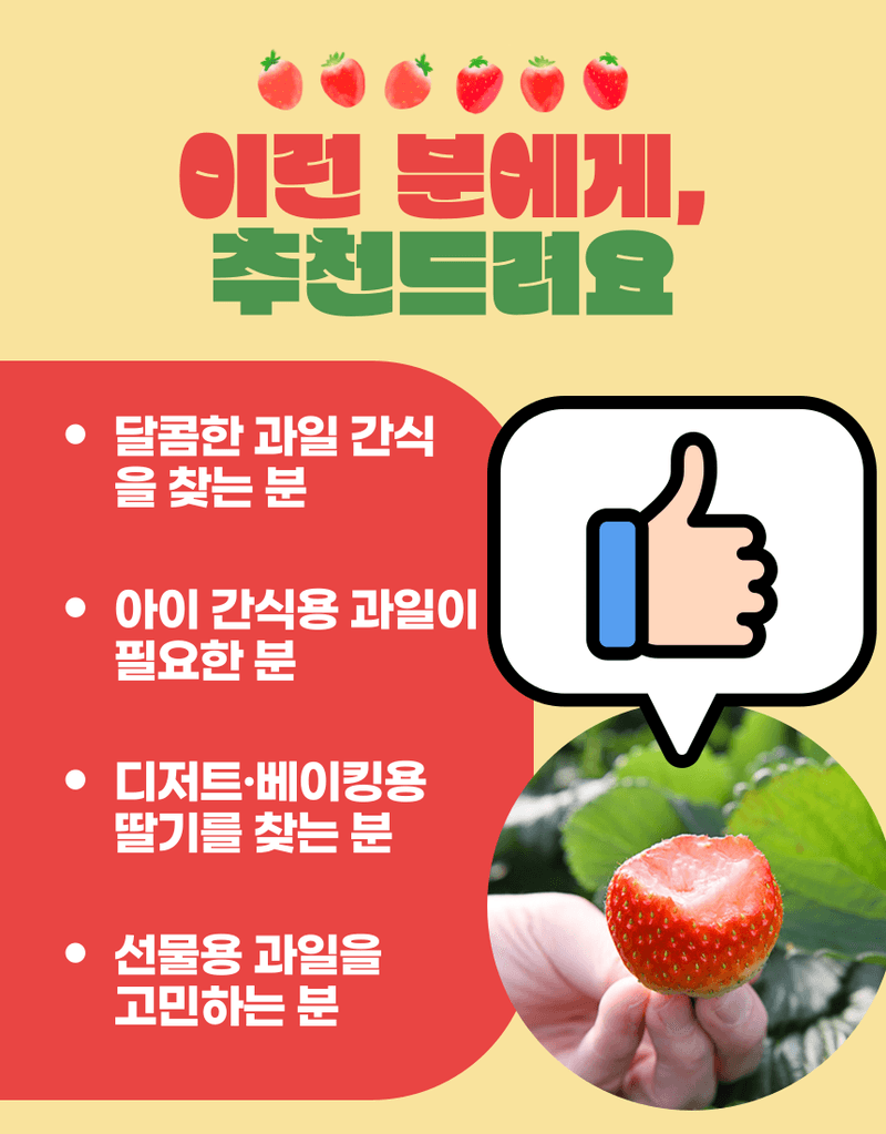 과일팩토리님의 장터 판매 상품 [과일팩토리 국산 프리미엄 설향 딸기 산지직송 350G/700G] 첨부 사진