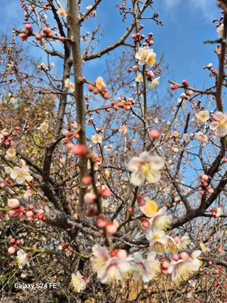 율촌 김은숙님의 자유주제 · 자유게시판 작성글 사진