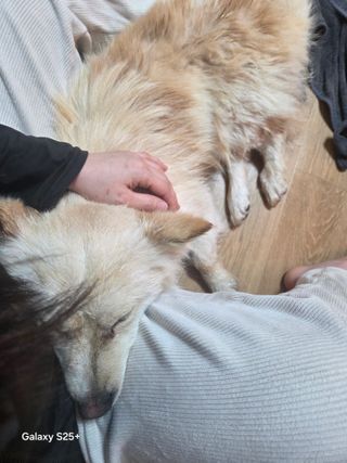 안성화님의 자유주제 · 자유게시판 작성글 사진