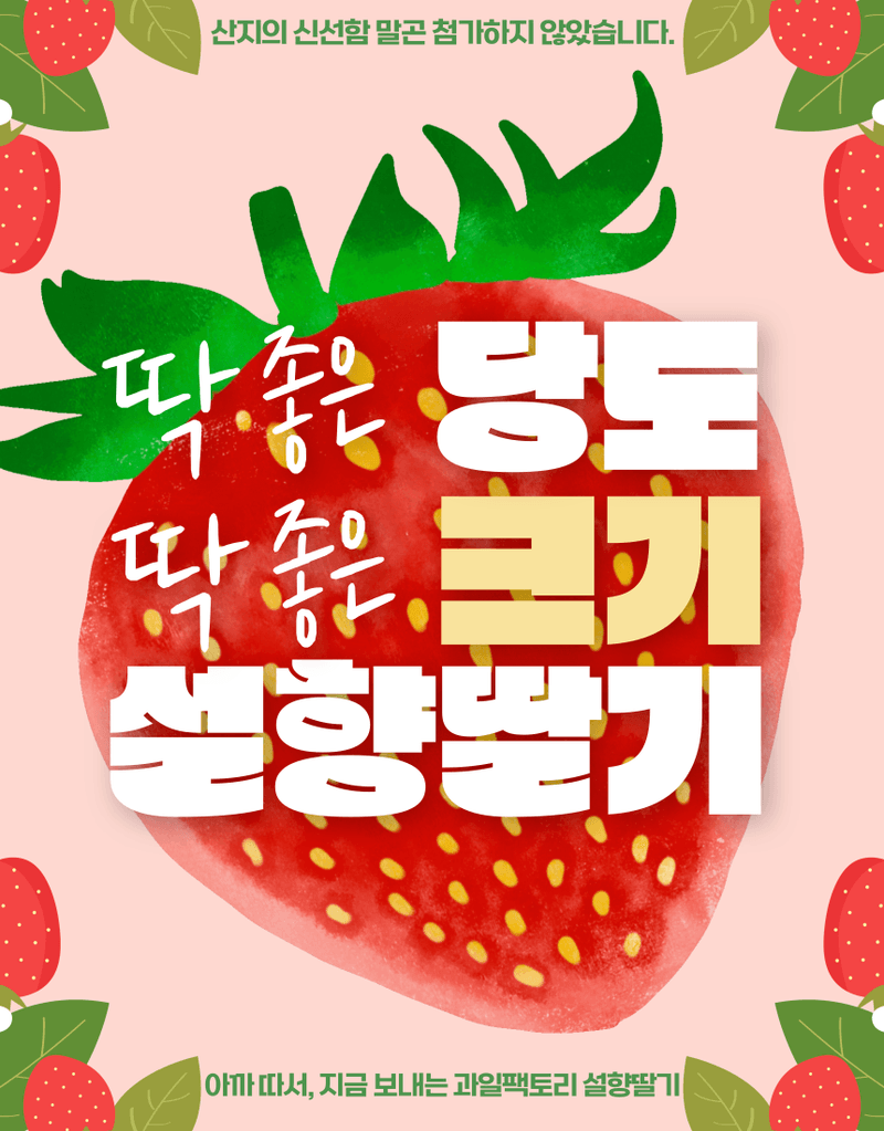 과일팩토리님의 장터 판매 상품 [과일팩토리 국산 프리미엄 설향 딸기 산지직송 350G/700G] 첨부 사진