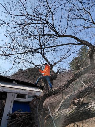 이박농장님의 자유주제 · 자유게시판 작성글 사진