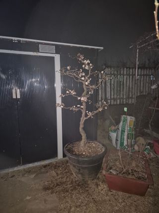 고메뿌리님의 자유주제 · 자유게시판 작성글 사진