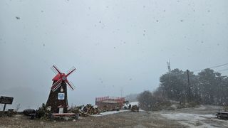 김봉래님의 자유주제 · 자유게시판 작성글 사진