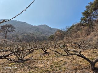 진문거사님의 자유주제 · 사진전 작성글 사진