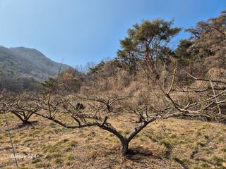 진문거사님의 자유주제 · 사진전 작성글 사진