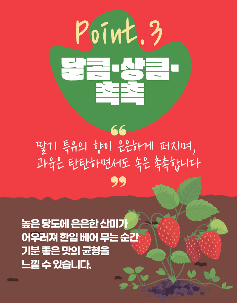 과일팩토리님의 장터 판매 상품 [과일팩토리 국산 프리미엄 설향 딸기 산지직송 350G/700G] 첨부 사진