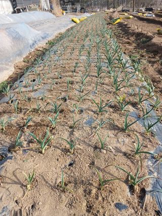 전국하님의 자유주제 · 자유게시판 작성글 사진