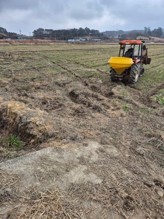 김영진(전남영광)님의 자유주제 · 자유게시판 작성글 사진