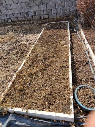 이박농장님의 자유주제 · 자유게시판 작성글 사진