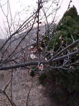 팜모닝 자유주제·자유게시판 게시글 이미지