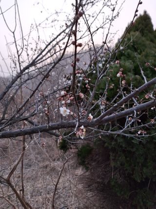 유영옥님의 자유주제 · 자유게시판 작성글 사진