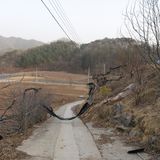 팜모닝 자유주제·자유게시판 게시글 이미지