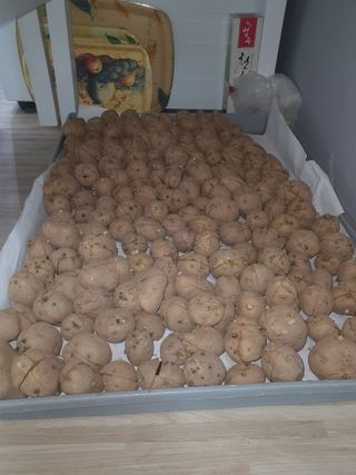 옥천서화농님의 자유주제 · 자유게시판 작성글 사진