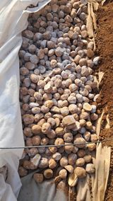 팜모닝 자유주제·자유게시판 게시글 이미지