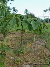 팜모닝 자유주제·자유게시판 게시글 이미지