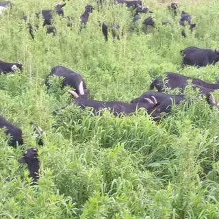 함세은님의 기타작물·자유게시판 작성글 사진