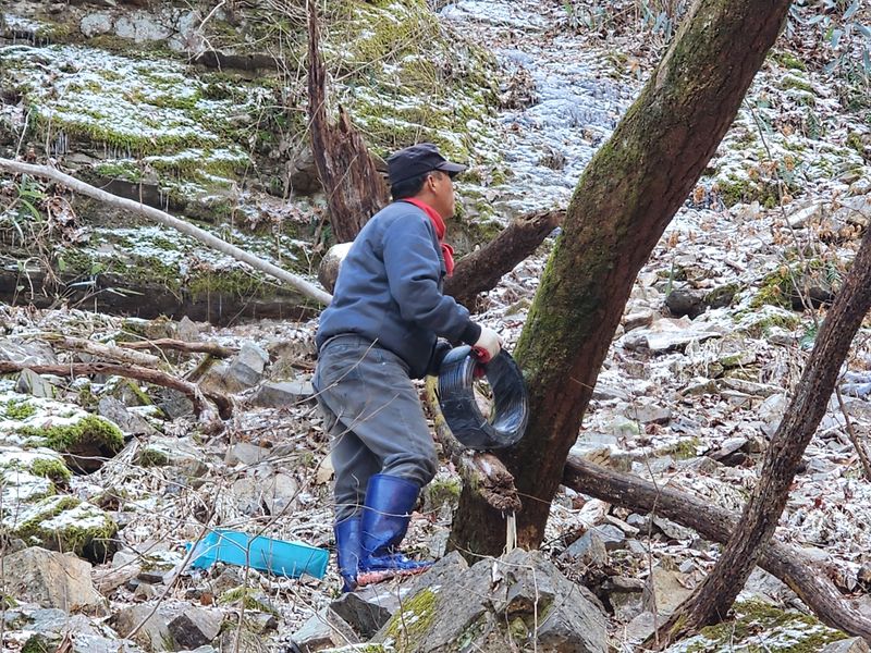 매기소골농장님의 장터 판매 상품 [운장산고로쇠수액1.5Lx6병] 첨부 사진