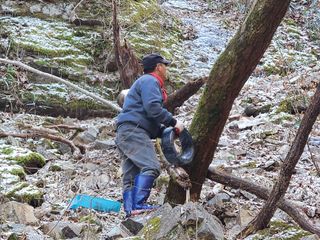 매기소골농장님의 작성글 사진