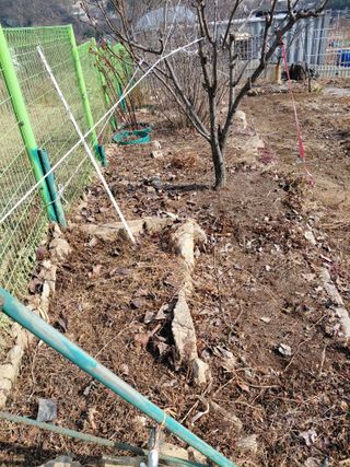 이박농장님의 자유주제 · 자유게시판 작성글 사진