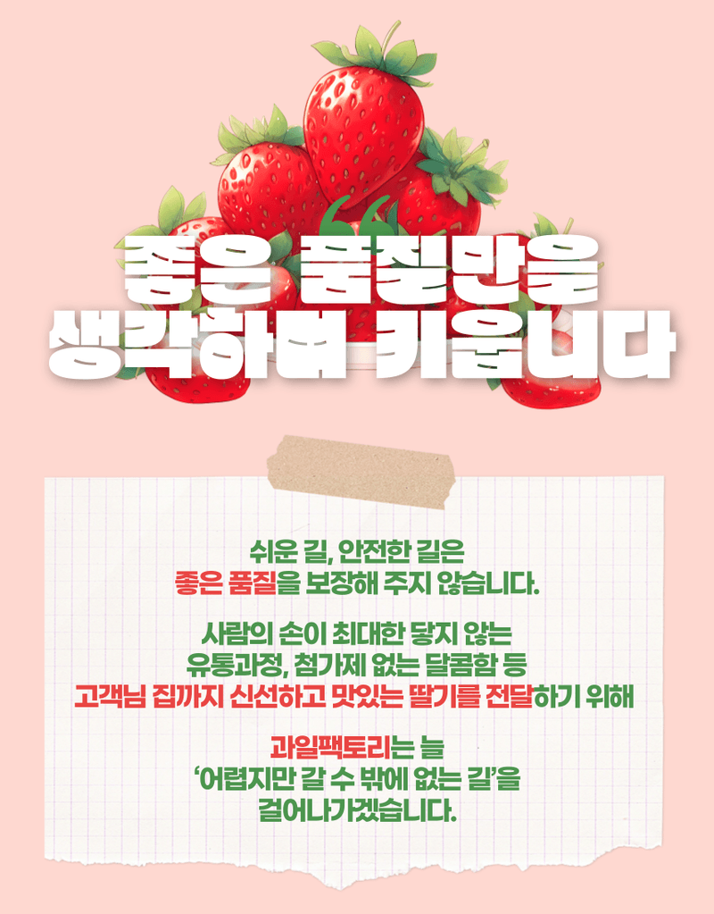 과일팩토리님의 장터 판매 상품 [과일팩토리 국산 프리미엄 설향 딸기 산지직송 350G/700G] 첨부 사진