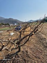 팜모닝 자유주제·사진전 게시글 이미지