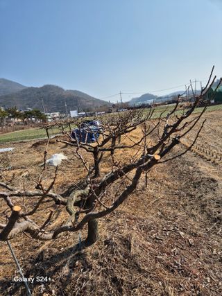 진문거사님의 자유주제·사진전 작성글 사진