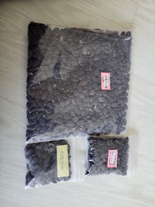 원빈님의 자유주제 · 자유게시판 작성글 사진