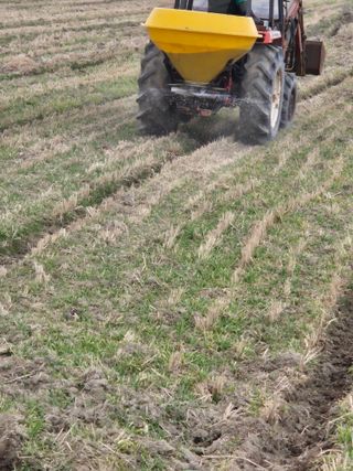 김영진(전남영광)님의 자유주제 · 자유게시판 작성글 사진
