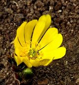 팜모닝 자유주제·자유게시판 게시글 이미지