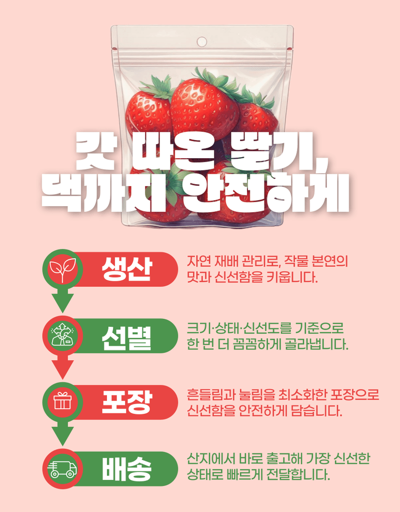 과일팩토리님의 장터 판매 상품 [과일팩토리 국산 프리미엄 설향 딸기 산지직송 350G/700G] 첨부 사진