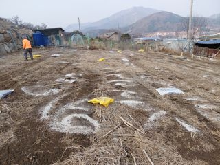 이박농장님의 자유주제 · 자유게시판 작성글 사진