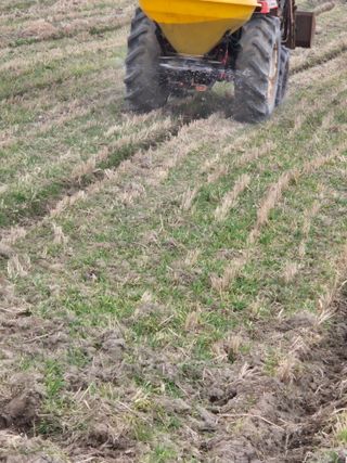 김영진(전남영광)님의 자유주제 · 자유게시판 작성글 사진